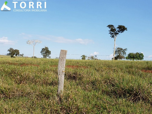 Fazenda Em Anaurilândia Ms - Fa00062 - 68121734