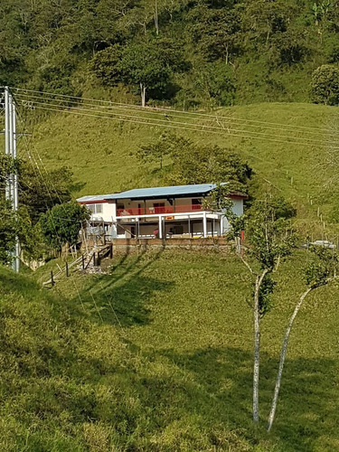 Imagen 4 de 8 de Finca Venta Genova Quindio
