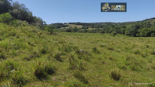 Imagem 8 de 30 de Fazenda A Venda No Bairro Centro Em Canguçu - Rs. - 2495-1