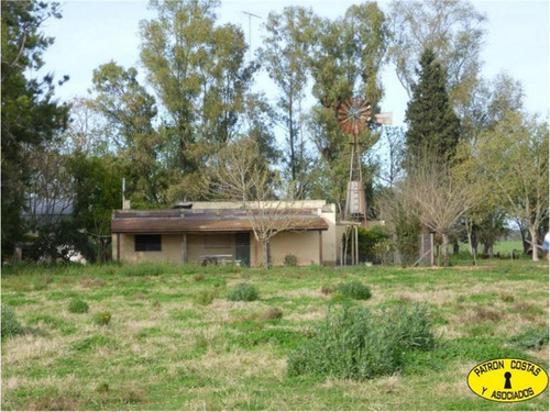 0976hp- 83 Ha (52 Ha + 31 Ha) - Open Door-manzanares