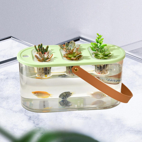 Caja De Cultivo Hidropónico, Herramienta Hidropónica Verde