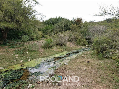 Imagen 5 de 9 de Oportunidad - Campo 62 Hectáreas - Cruz Del Eje - Córdoba