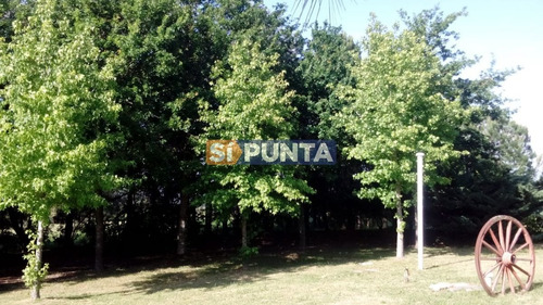 Imagen 16 de 16 de Chacra En Alquiler Manantiales