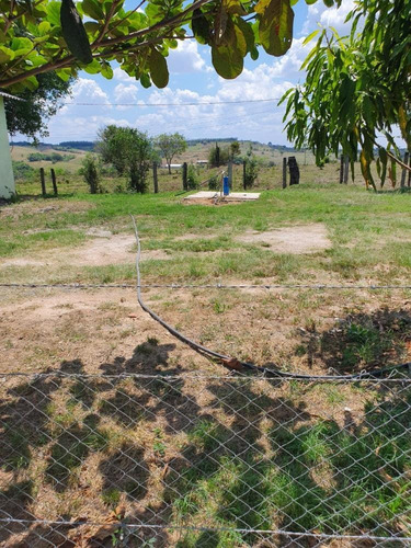 Imagem 6 de 27 de Excelente Sitio A Venda Em Pereiras - 531