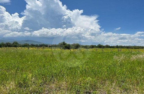 Terreno En Venta En Pinar De La Laguna 27 Atotonilco El Bajo Villa Corona