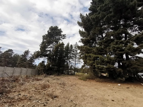 Sitio En Venta En Viña Del Mar