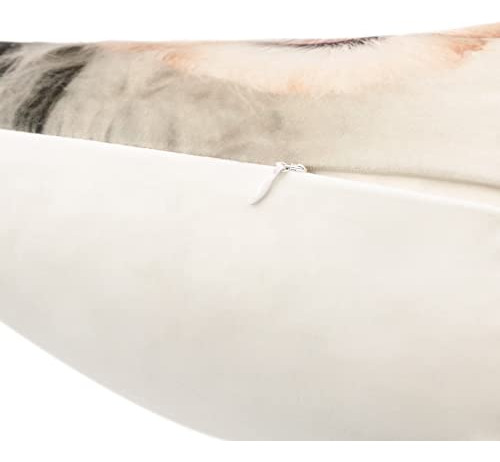 Fundas De Almohada Decorativas Border Collie 45 X 45 Cm