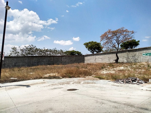 Imagen 9 de 13 de Terreno En Venta En Fraccionamiento Lomas Verdes A 5 Minutos