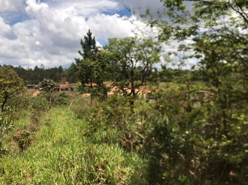 Imagem 14 de 30 de Chácaras Castelo Branco Km 68 Condomínio Vale Da Esperança Mairinque S-p