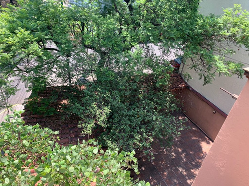 Imagen 11 de 13 de Venta De Excelente Propiedad En Coyoacan 400 M2