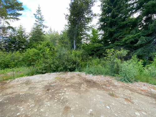 Imagen 1 de 14 de Lote En Venta - Bariloche - Avenida Bustillo Km 21 - Id: 60514