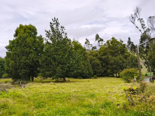 Proyecto Campestre