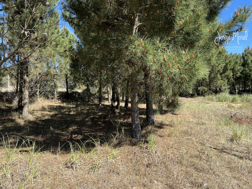 Lote Venta Barrio Costa Esmeralda - Golf 2 - 1180m2 #id 11473