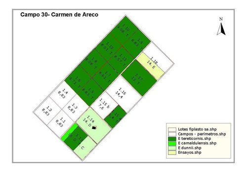 Imagen 3 de 5 de Campo - Carmen De Areco