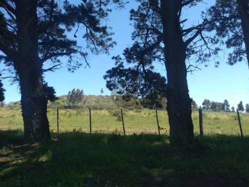 Imagen 11 de 15 de Lote Barrio Colinalegre Venta 625m2