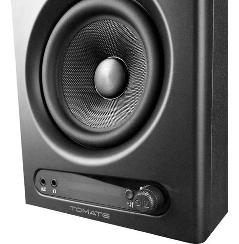 Monitor De Áudio Profissional Caixa De Som 110w Bivolt