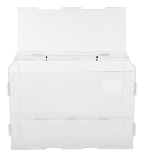 Práctica Caja De Alimentación Para Reptiles, Vitrina Para La