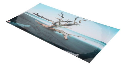 Fondo De Decoración De Acuario, Árbol Marchito, 3d, Pvc, Aut