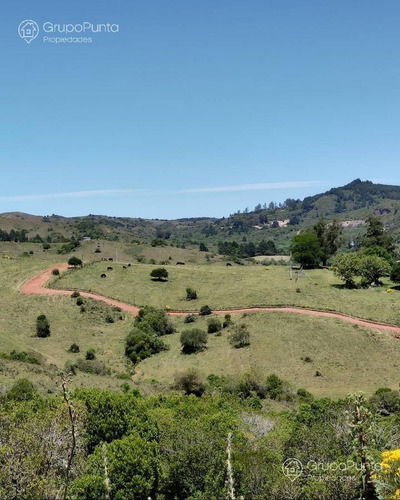 Imagen 8 de 15 de Chacras Financiadas En Minas Lavalleja