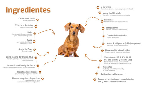 Bokato Petit Súper Premium Adulto Raza Pequeña 10 Kilos