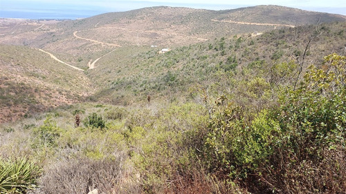 Se Vende Parcela De Agrado De 10.082m2 Pichicuy-huaquen Alto