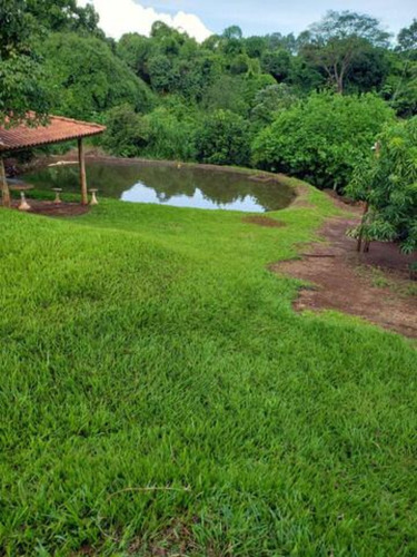 Sítio À Venda Em Cajuru/sp - St00117 - 69024431