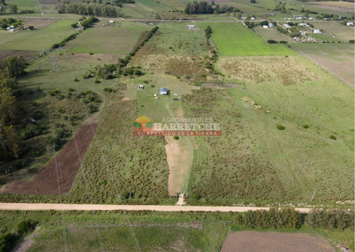 Imagen 8 de 23 de Chacra En Los Cerrillos, 3 Has Con Casa, Pozo De Agua.