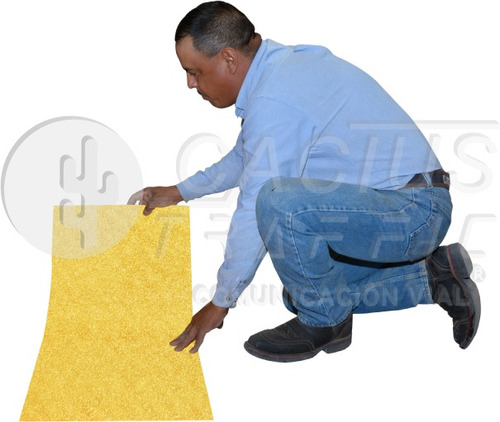 Imagen 4 de 4 de Pintura Termoplástica Preformada