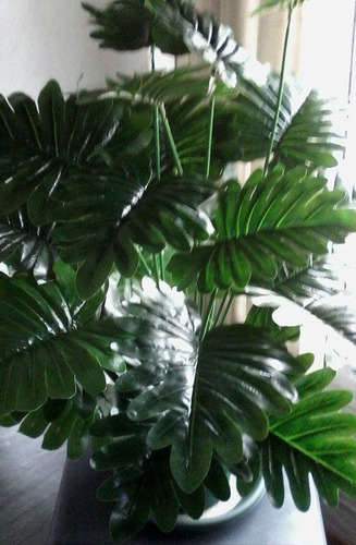 Imagen 7 de 10 de Aralia 18 Hojas 70 Cm - Plantas De Interior Artificiales