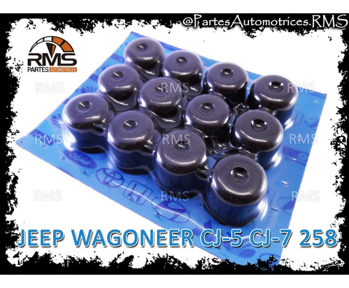 Gomas Valvula Jeep Wagoneer Cj-5 Cj-7 258 232