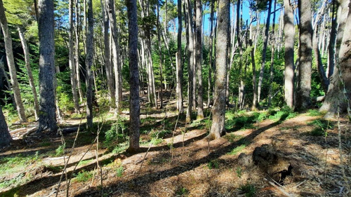 Imagen 17 de 22 de Venta Lote 1700 M2 En Bosque Villa La Angostura