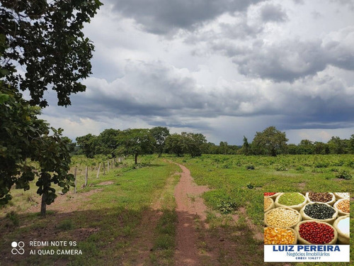 Imagem 15 de 15 de Fazenda Á Venda Em Cristalândia 503.36 Hectares (dupla Aptidão) - 1628