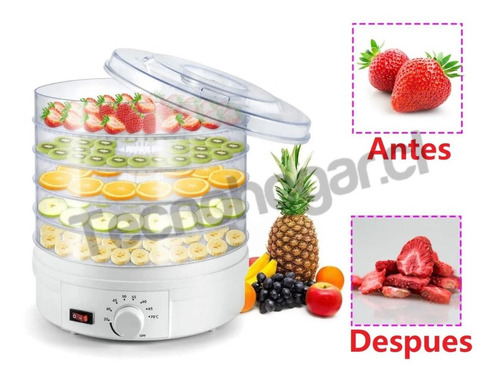 Máquina Deshidratadora De Frutas Secas De Té Alimentos