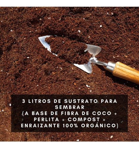 Imagen 2 de 2 de Semillas Huerta Y Aromáticas - A Elección - De Estación