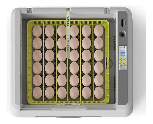 Incubadora Huevos 36 Hhd Cont Automatico Temperatura Volteo