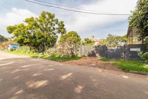 Terreno - Cavalhada - Ref: 561826 - L-ca4875