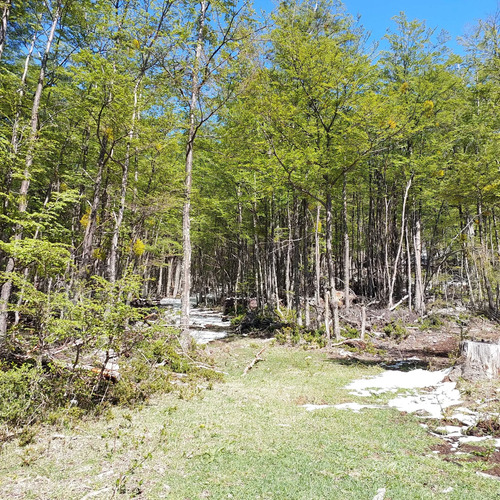 Terreno 35.000m² En Villa Ortega, Coyhaique (172846)