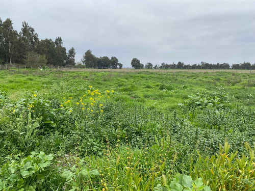 Imagen 3 de 19 de Bajó De Precio! Sitio En Parcelación De Isla De Maipo