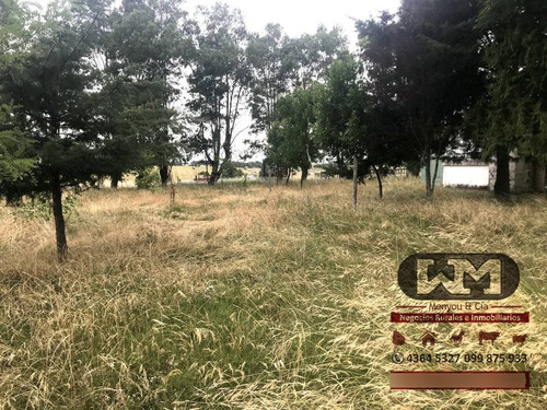 Venta Chacra Flores 1 Hectárea A 3 Km De Trinidad Flores