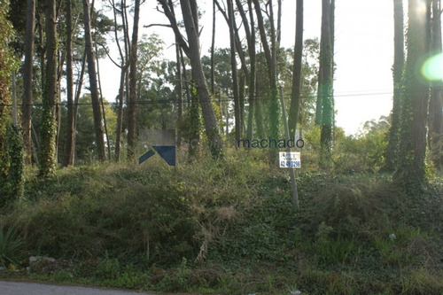 Terreno En Venta Lugano -ref:193