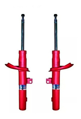Kit X2 Amortiguador Del Fric Rot P/ Citröen Berlingo (baja)