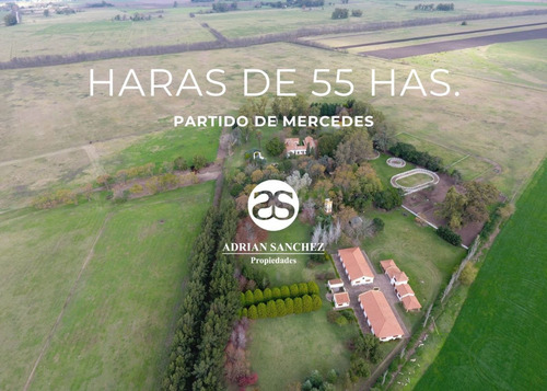 Importante Haras De 55 Has En Mercedes