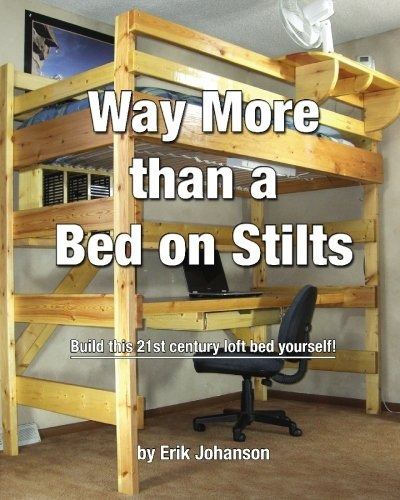 Way More Than A Bed On Stilts Build This 21st Century Loft B