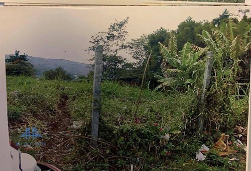 Imagem 1 de 4 de Terreno À Venda, 300 M² Por R$ 375.000,00 - Trindade - Florianópolis/sc - Te0101