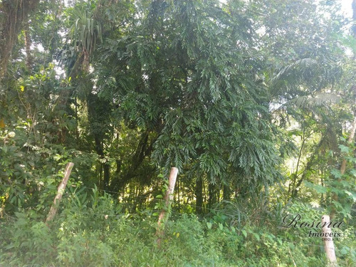 Imagem 6 de 20 de Terrenos A Venda No Barro Barro Branco A Partir De 55 Mil-negociáveis - Te0120