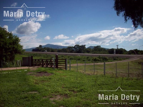 Imagen 2 de 6 de Venta Campo - Metan Viejo 7200 Ha