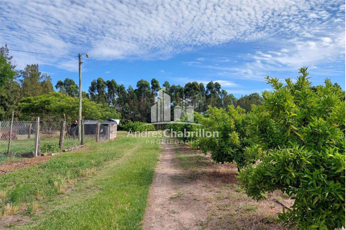 Imagen 7 de 15 de Campo En Venta De 20 Has. En Ruta Nacional 14