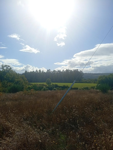 Terreno Ubicado A 6 Km De La Union, Sector Cudico