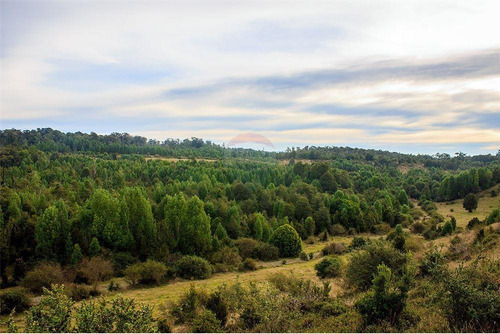 Imagen 17 de 30 de Parcela Disponible - Chiloe