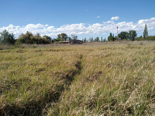 Imagen 3 de 11 de Terreno 1015 M2 Venta - Quintas De Sara F. Oro